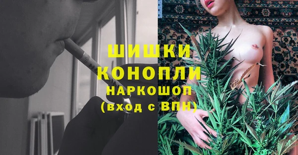 индика Семилуки