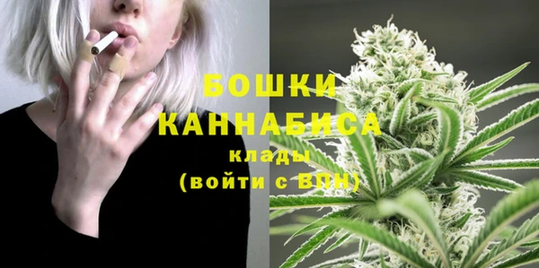 стафф Белокуриха