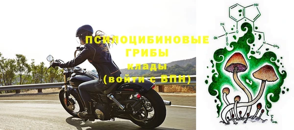 стафф Белокуриха