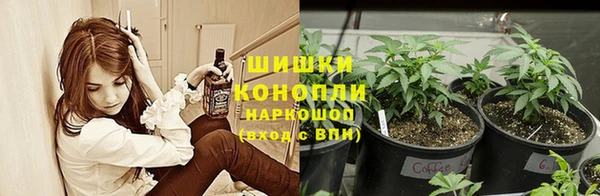 стафф Белокуриха